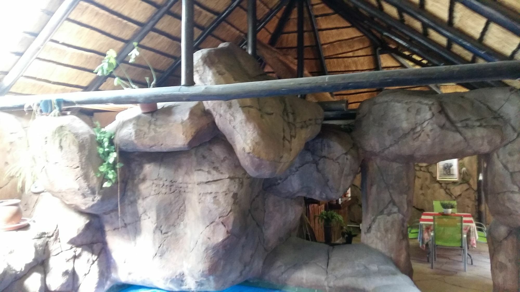 Gasthuis Pride Rock
